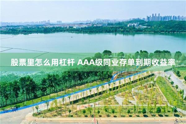 股票里怎么用杠杆 AAA级同业存单到期收益率