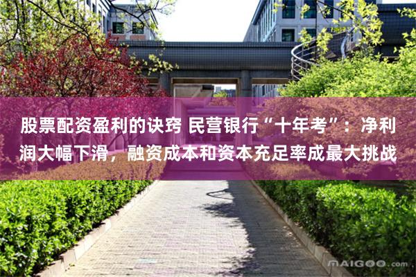 股票配资盈利的诀窍 民营银行“十年考”：净利润大幅下滑，融资成本和资本充足率成最大挑战