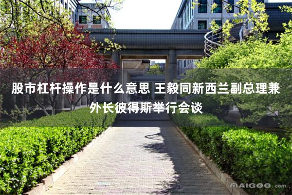 股市杠杆操作是什么意思 王毅同新西兰副总理兼外长彼得斯举行会谈