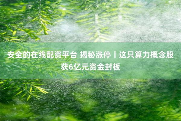 安全的在线配资平台 揭秘涨停丨这只算力概念股获6亿元资金封板