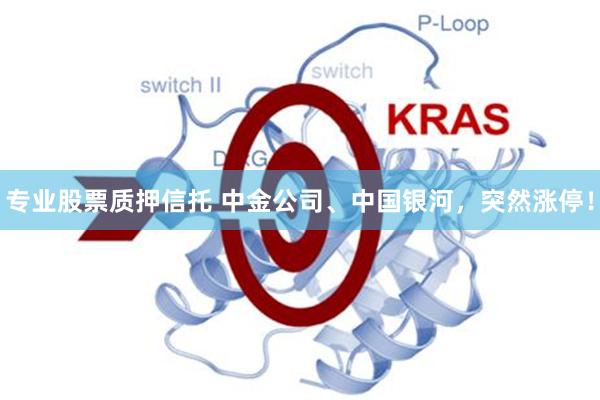 专业股票质押信托 中金公司、中国银河，突然涨停！