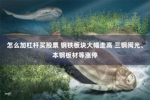 怎么加杠杆买股票 钢铁板块大幅走高 三钢闽光、本钢板材等涨停