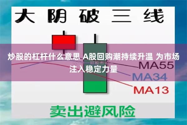 炒股的杠杆什么意思 A股回购潮持续升温 为市场注入稳定力量