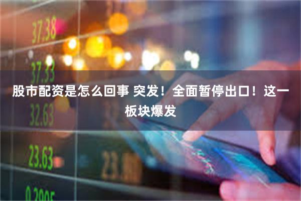 股市配资是怎么回事 突发！全面暂停出口！这一板块爆发