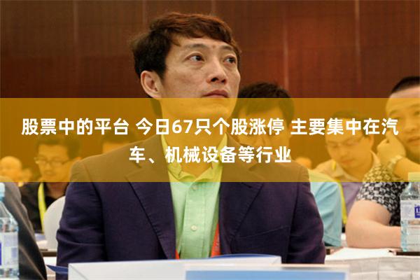股票中的平台 今日67只个股涨停 主要集中在汽车、机械设备等行业
