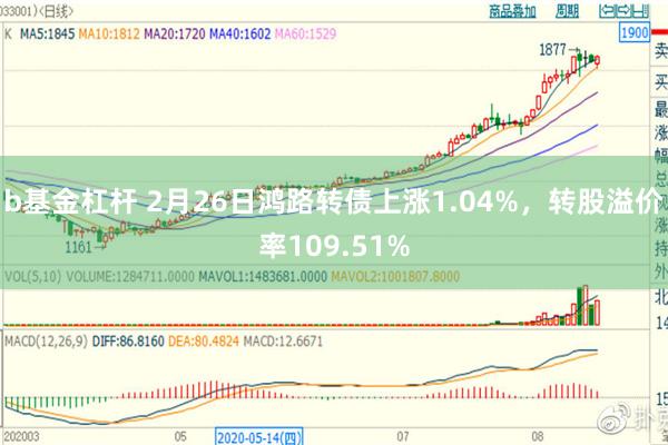 b基金杠杆 2月26日鸿路转债上涨1.04%，转股溢价率109.51%