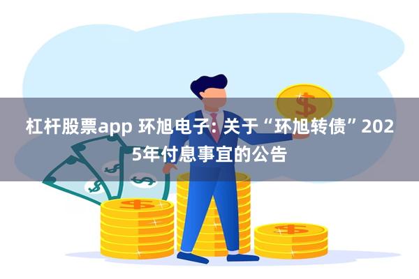 杠杆股票app 环旭电子: 关于“环旭转债”2025年付息事宜的公告