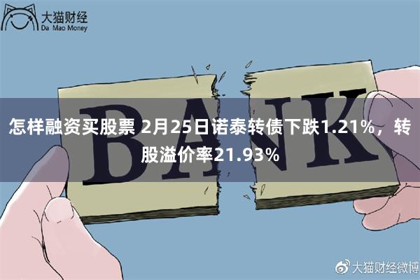 怎样融资买股票 2月25日诺泰转债下跌1.21%，转股溢价率21.93%