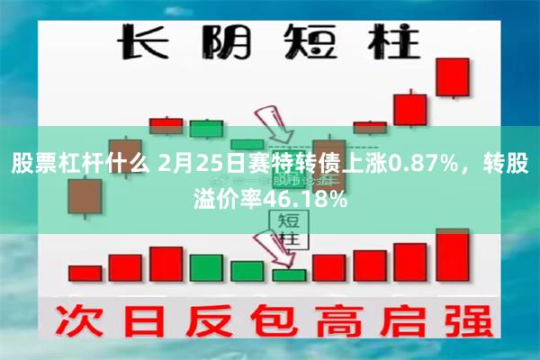 股票杠杆什么 2月25日赛特转债上涨0.87%，转股溢价率46.18%
