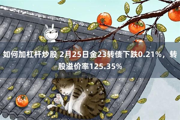 如何加杠杆炒股 2月25日金23转债下跌0.21%，转股溢价率125.35%