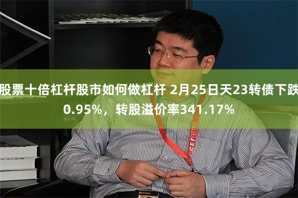 股票十倍杠杆股市如何做杠杆 2月25日天23转债下跌0.95%，转股溢价率341.17%
