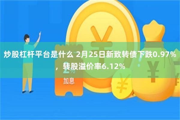 炒股杠杆平台是什么 2月25日新致转债下跌0.97%，转股溢价率6.12%