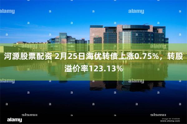 河源股票配资 2月25日海优转债上涨0.75%，转股溢价率123.13%