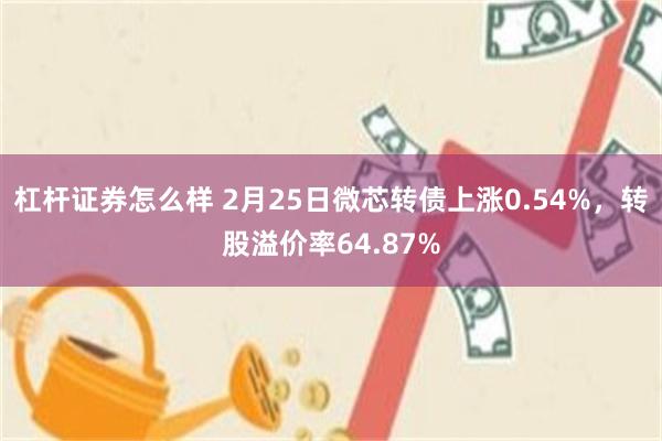 杠杆证券怎么样 2月25日微芯转债上涨0.54%，转股溢价率64.87%