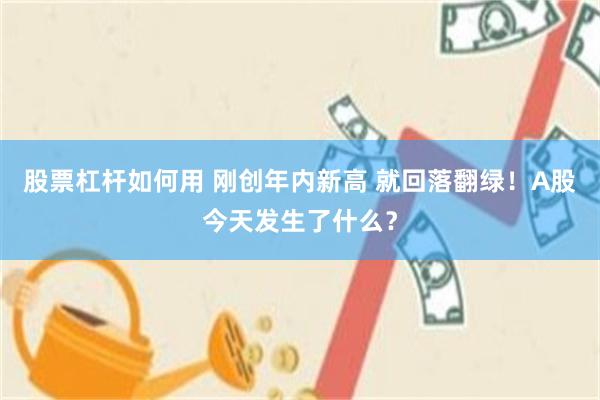 股票杠杆如何用 刚创年内新高 就回落翻绿！A股今天发生了什么？