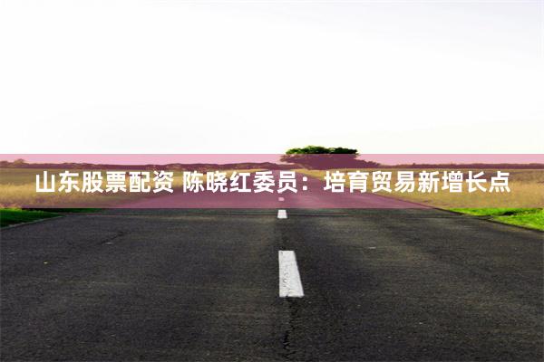 山东股票配资 陈晓红委员：培育贸易新增长点