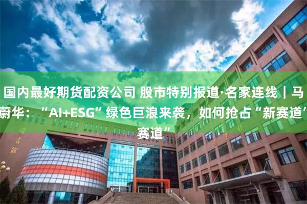 国内最好期货配资公司 股市特别报道·名家连线｜马蔚华：“AI+ESG”绿色巨浪来袭，如何抢占“新赛道”