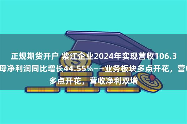 正规期货开户 紫江企业2024年实现营收106.37亿元，归母净利润同比增长44.55%——业务板块多点开花，营收净利双增