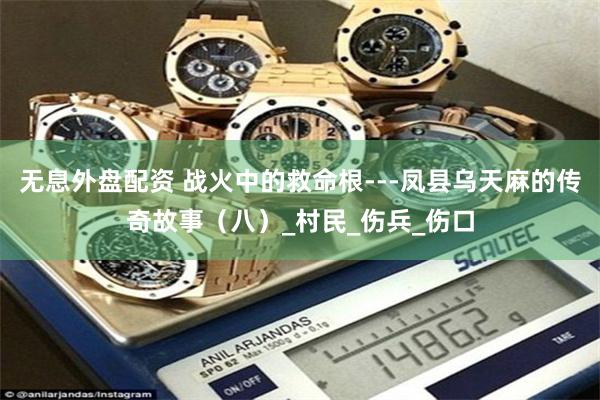 无息外盘配资 战火中的救命根---凤县乌天麻的传奇故事(八)_村民_伤兵_伤口