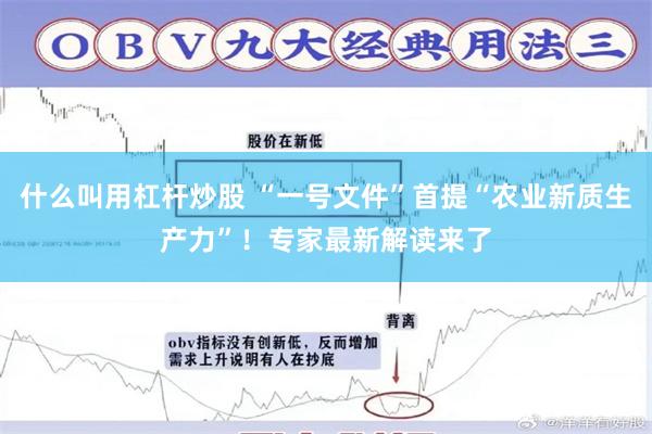 什么叫用杠杆炒股 “一号文件”首提“农业新质生产力”！专家最新解读来了