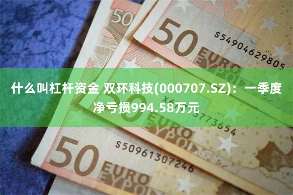 什么叫杠杆资金 双环科技(000707.SZ)：一季度净亏损994.58万元