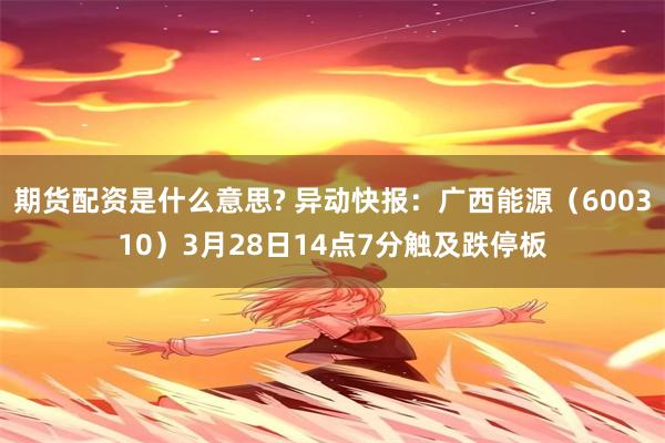 期货配资是什么意思? 异动快报：广西能源（600310）3月28日14点7分触及跌停板