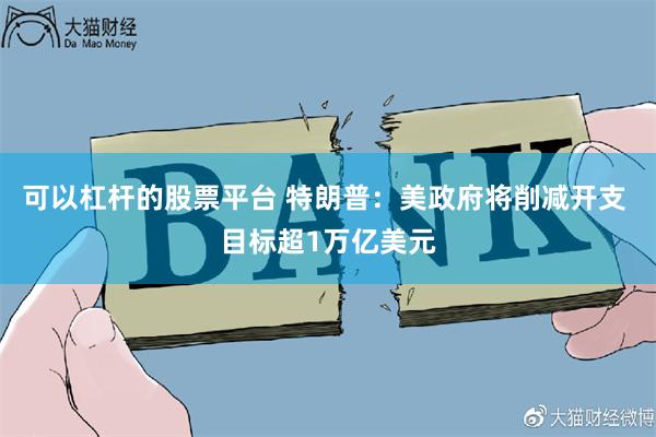 可以杠杆的股票平台 特朗普：美政府将削减开支 目标超1万亿美元