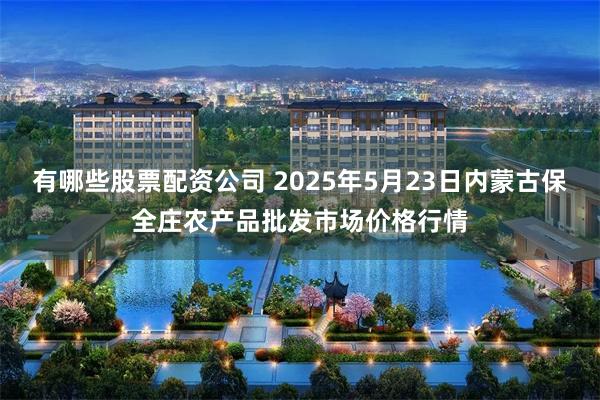 有哪些股票配资公司 2025年5月23日内蒙古保全庄农产品批发市场价格行情