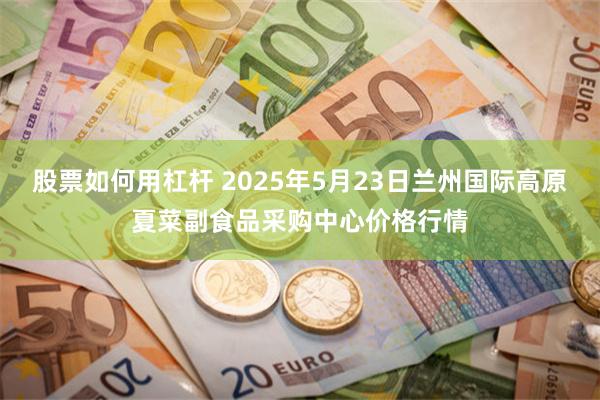 股票如何用杠杆 2025年5月23日兰州国际高原夏菜副食品采购中心价格行情