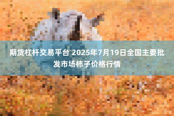 期货杠杆交易平台 2025年7月19日全国主要批发市场柿子价格行情