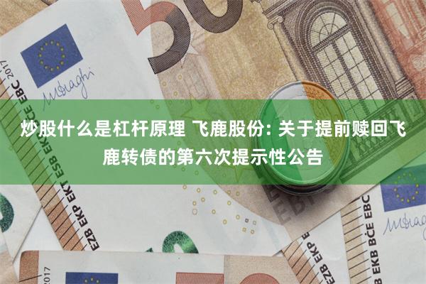 炒股什么是杠杆原理 飞鹿股份: 关于提前赎回飞鹿转债的第六次提示性公告