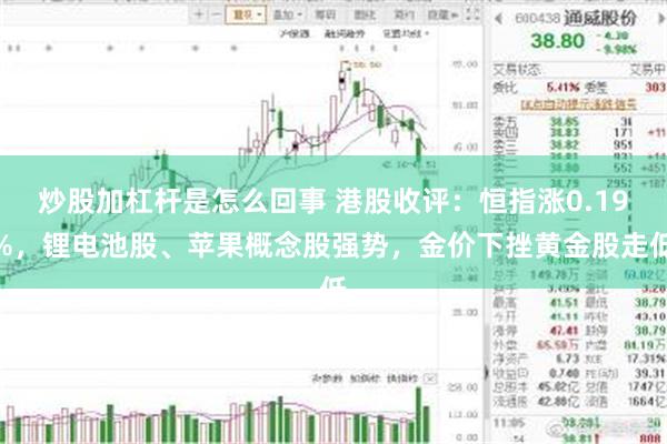 炒股加杠杆是怎么回事 港股收评：恒指涨0.19%，锂电池股、苹果概念股强势，金价下挫黄金股走低