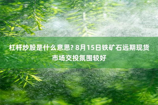 杠杆炒股是什么意思? 8月15日铁矿石远期现货市场交投氛围较好