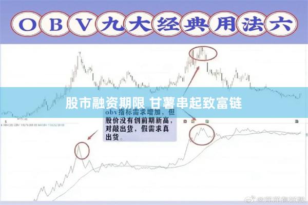 股市融资期限 甘薯串起致富链