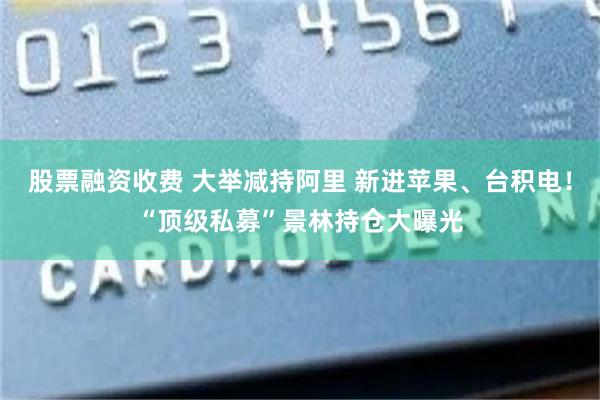 股票融资收费 大举减持阿里 新进苹果、台积电！“顶级私募”景林持仓大曝光