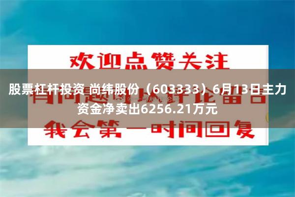 股票杠杆投资 尚纬股份（603333）6月13日主力资金净卖出6256.21万元