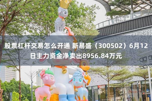 股票杠杆交易怎么开通 新易盛(300502)6月12日主力资金净卖出8956.84万元