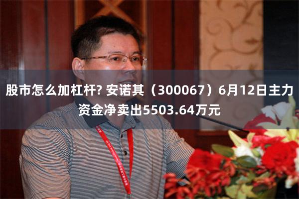 股市怎么加杠杆? 安诺其（300067）6月12日主力资金净卖出5503.64万元