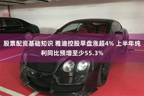 股票配资基础知识 雅迪控股早盘涨超4% 上半年纯利同比预增至少55.3%