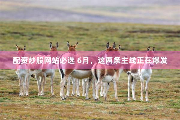 配资炒股网站必选 6月，这两条主线正在爆发