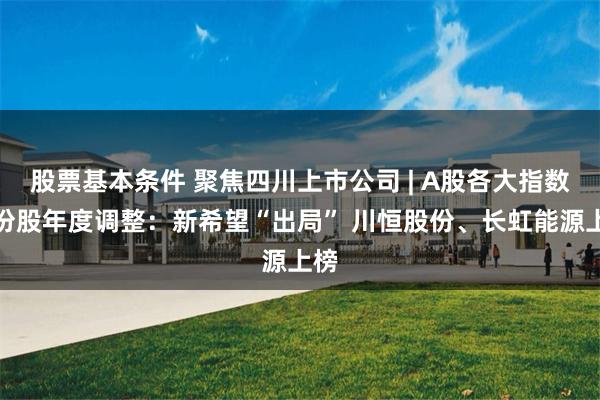 股票基本条件 聚焦四川上市公司 | A股各大指数成份股年度调整：新希望“出局” 川恒股份、长虹能源上榜