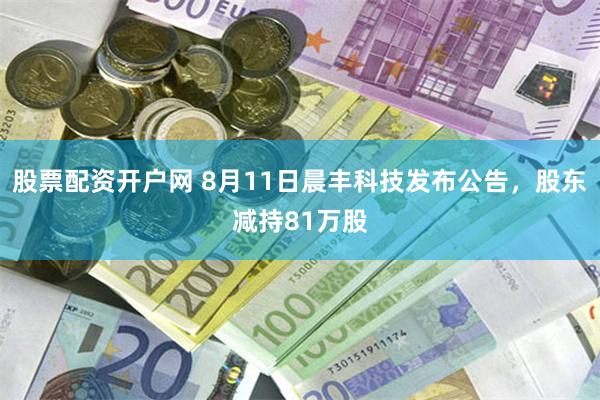 股票配资开户网 8月11日晨丰科技发布公告，股东减持81万股