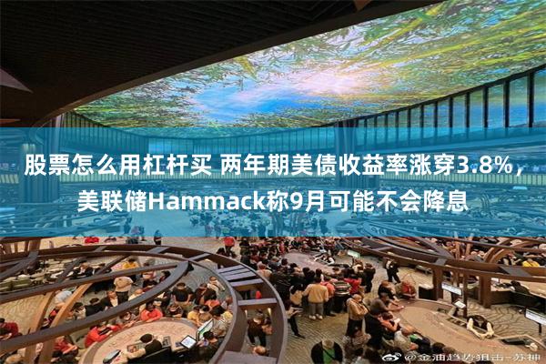 股票怎么用杠杆买 两年期美债收益率涨穿3.8%，美联储Hammack称9月可能不会降息