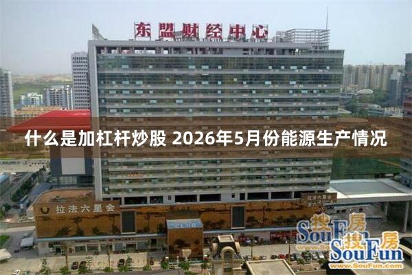 什么是加杠杆炒股 2026年5月份能源生产情况