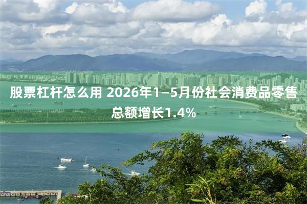 股票杠杆怎么用 2026年1—5月份社会消费品零售总额增长1.4%
