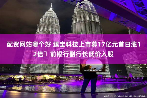 配资网站哪个好 臻宝科技上市募17亿元首日涨12倍 前银行副行长低价入股
