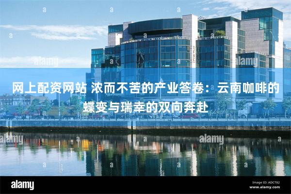 网上配资网站 浓而不苦的产业答卷：云南咖啡的蝶变与瑞幸的双向奔赴