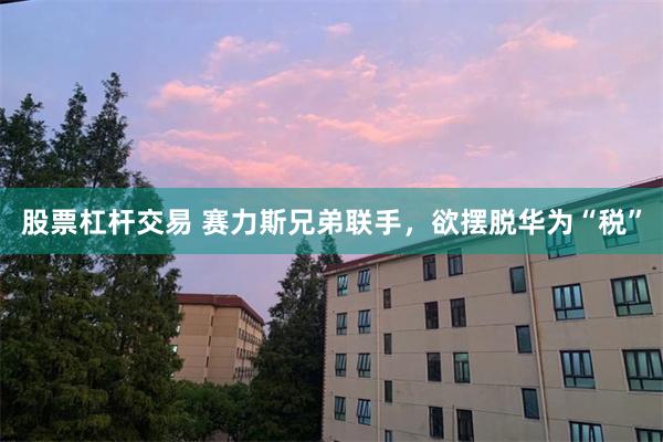 股票杠杆交易 赛力斯兄弟联手，欲摆脱华为“税”