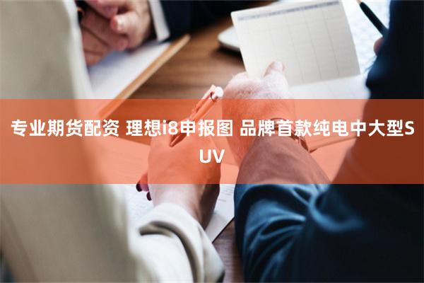 专业期货配资 理想i8申报图 品牌首款纯电中大型SUV