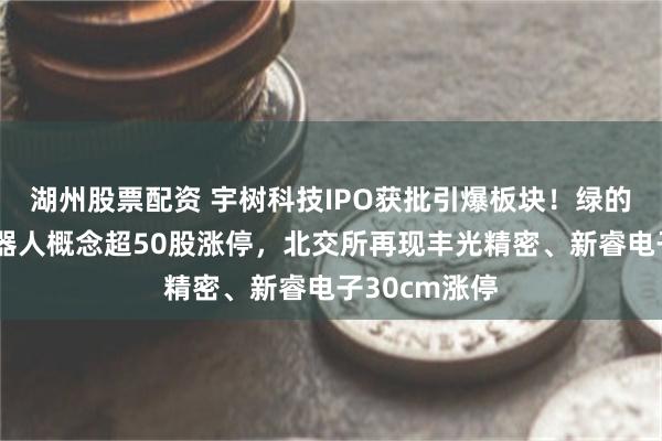 湖州股票配资 宇树科技IPO获批引爆板块！绿的谐波引领机器人概念超50股涨停，北交所再现丰光精密、新睿电子30cm涨停